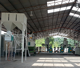 Proyecto de palma EFB de 5 toneladas / hora en Sudeste Asiát···
